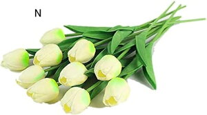 10{Zbg  `[bv  A[gt[ u[P ԑ ̓ ԃMtg ͂Ȃ ʐ^Be j v[g CeA 