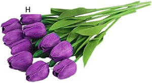 10{Zbg  `[bv  A[gt[ u[P ԑ ̓ ԃMtg ͂Ȃ ʐ^Be j v[g CeA 