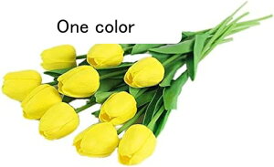 10{Zbg  `[bv  A[gt[ u[P ԑ ̓ ԃMtg ͂Ȃ ʐ^Be j v[g CeA 