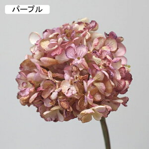   CeA  AWTC 1{ ͂Ȃ Q   ItBX ̓  a j JXj  EFfBO p[eB[ v[g ʐ^ A[gt