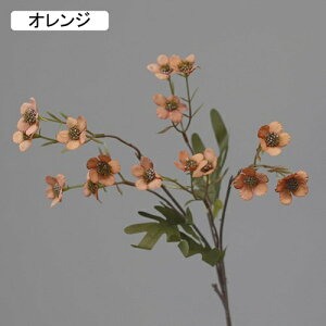   CeA  ~̉ 1{ ͂Ȃ Q   ItBX ̓  a j JXj  EFfBO p[eB[ v[g ʐ^ A[gt