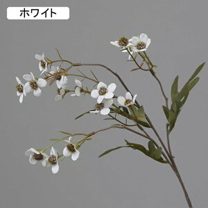   CeA  ~̉ 1{ ͂Ȃ Q   ItBX ̓  a j JXj  EFfBO p[eB[ v[g ʐ^ A[gt