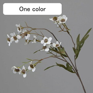   CeA  ~̉ 1{ ͂Ȃ Q   ItBX ̓  a j JXj  EFfBO p[eB[ v[g ʐ^ A[gt