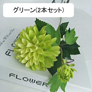  e A[gt[ ͂Ȃ ԑ CeA 2{Zbg t[ {  LC lHAϏ  tFCNt[ u[P 傫  蕨 Vz z