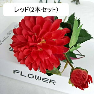  e A[gt[ ͂Ȃ ԑ CeA 2{Zbg t[ {  LC lHAϏ  tFCNt[ u[P 傫  蕨 Vz z