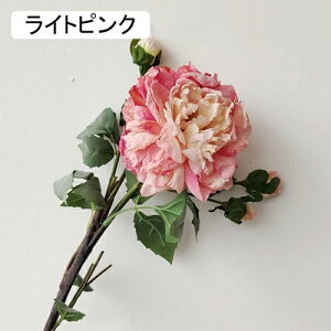   CeA  ڂ 2{ ͂Ȃ Q   ItBX ̓  a j JXj  EFfBO p[eB[ v[g ʐ^ A[gt