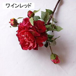   CeA  ڂ 2{ ͂Ȃ Q   ItBX ̓  a j JXj  EFfBO p[eB[ v[g ʐ^ A[gt