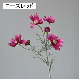   CeA  fCW[ 1{ ͂Ȃ Q   ItBX ̓  a j JXj  EFfBO p[eB[ v[g ʐ^ A[gt