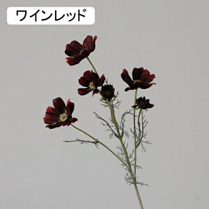   CeA  fCW[ 1{ ͂Ȃ Q   ItBX ̓  a j JXj  EFfBO p[eB[ v[g ʐ^ A[gt