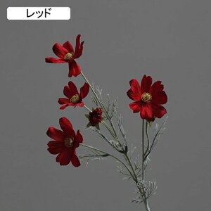   CeA  fCW[ 1{ ͂Ȃ Q   ItBX ̓  a j JXj  EFfBO p[eB[ v[g ʐ^ A[gt