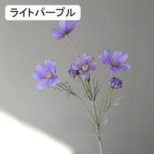   CeA  fCW[ 1{ ͂Ȃ Q   ItBX ̓  a j JXj  EFfBO p[eB[ v[g ʐ^ A[gt