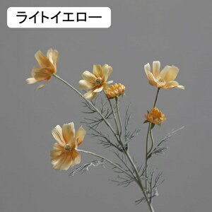   CeA  fCW[ 1{ ͂Ȃ Q   ItBX ̓  a j JXj  EFfBO p[eB[ v[g ʐ^ A[gt