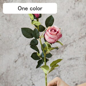   CeA  KN 1{ ͂Ȃ Q   ItBX ̓  a j JXj  EFfBO p[eB[ v[g ʐ^ A[gt