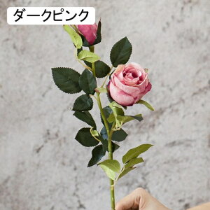   CeA  KN 1{ ͂Ȃ Q   ItBX ̓  a j JXj  EFfBO p[eB[ v[g ʐ^ A[gt