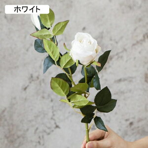   CeA  KN 1{ ͂Ȃ Q   ItBX ̓  a j JXj  EFfBO p[eB[ v[g ʐ^ A[gt