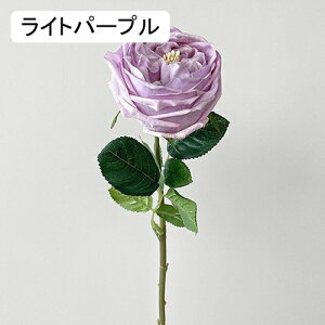   CeA  KN 1{ ͂Ȃ Q   ItBX ̓  a j JXj  EFfBO p[eB[ v[g ʐ^ A[gt