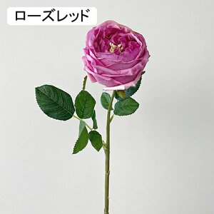   CeA  KN 1{ ͂Ȃ Q   ItBX ̓  a j JXj  EFfBO p[eB[ v[g ʐ^ A[gt