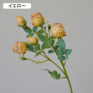   CeA  KN 1{ ͂Ȃ Q   ItBX ̓  a j JXj  EFfBO p[eB[ v[g ʐ^ A[gt