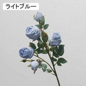   CeA  KN 1{ ͂Ȃ Q   ItBX ̓  a j JXj  EFfBO p[eB[ v[g ʐ^ A[gt