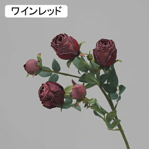   CeA  KN 1{ ͂Ȃ Q   ItBX ̓  a j JXj  EFfBO p[eB[ v[g ʐ^ A[gt