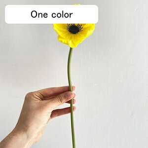   CeA  1{ ͂Ȃ Q   ItBX ̓  a j JXj  EFfBO p[eB[ v[g ʐ^ A[gt[ 