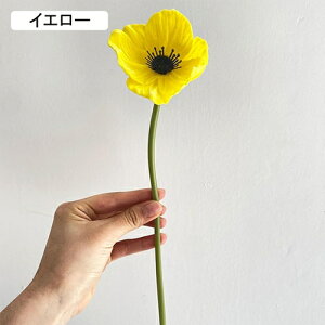   CeA  1{ ͂Ȃ Q   ItBX ̓  a j JXj  EFfBO p[eB[ v[g ʐ^ A[gt[ 