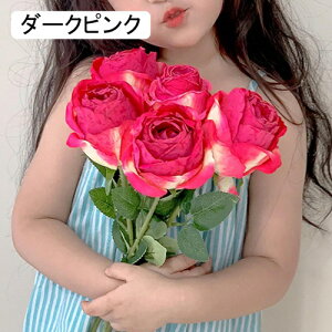   CeA  o 5{ ͂Ȃ Q   ItBX ̓  a j JXj  EFfBO p[eB[ v[g ʐ^ A[gt