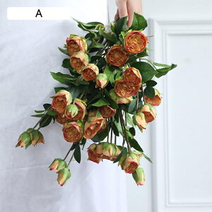  CeA F 10{ [Y o KN ͂Ȃ A[gt[ ̓v[g Mtg 킢 j   X iX  p[eB[ a ԑ 蕨̉ l