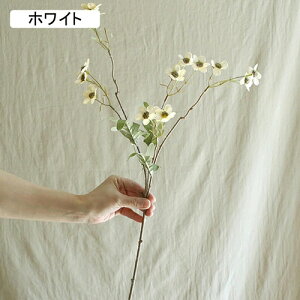   CeA  ~̉ 1{ ͂Ȃ Q   ItBX ̓  a j JXj  EFfBO p[eB[ v[g ʐ^ A[gt