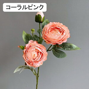   CeA  O 1{ ͂Ȃ Q   ItBX ̓  a j JXj  EFfBO p[eB[ v[g ʐ^ A[gt