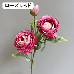   CeA  O 1{ ͂Ȃ Q   ItBX ̓  a j JXj  EFfBO p[eB[ v[g ʐ^ A[gt