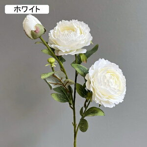   CeA  O 1{ ͂Ȃ Q   ItBX ̓  a j JXj  EFfBO p[eB[ v[g ʐ^ A[gt