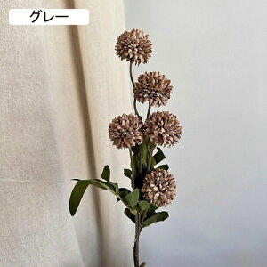   CeA  _A 1{ ͂Ȃ Q   ItBX ̓  a j JXj  EFfBO p[eB[ v[g ʐ^ A[gt