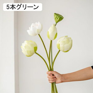  @̉ tFCNt[ VNt[ sv ͂Ȃ A[gt[ t[AW A  rO  d e[u DIY CeA  ԑ u[P B