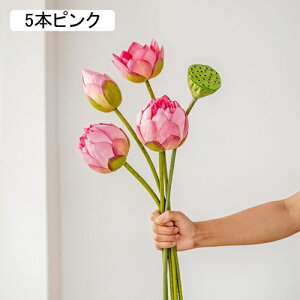  @̉ tFCNt[ VNt[ sv ͂Ȃ A[gt[ t[AW A  rO  d e[u DIY CeA  ԑ u[P B