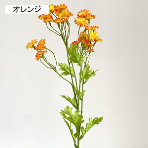   CeA  fCW[ 1{ ͂Ȃ Q   ItBX ̓  a j JXj  EFfBO p[eB[ v[g ʐ^ A[gt