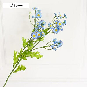   CeA  fCW[ 1{ ͂Ȃ Q   ItBX ̓  a j JXj  EFfBO p[eB[ v[g ʐ^ A[gt