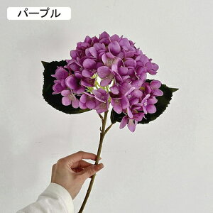   CeA  AWTC 1{ ͂Ȃ Q   ItBX ̓  a j JXj  EFfBO p[eB[ v[g ʐ^ A[gt