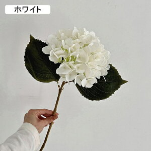   CeA  AWTC 1{ ͂Ȃ Q   ItBX ̓  a j JXj  EFfBO p[eB[ v[g ʐ^ A[gt