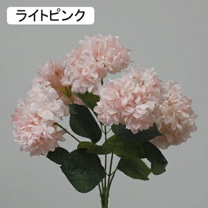   CeA  AWTC 1 ͂Ȃ Q   ItBX ̓  a j JXj  EFfBO p[eB[ v[g ʐ^ A[gt