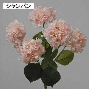   CeA  AWTC 1 ͂Ȃ Q   ItBX ̓  a j JXj  EFfBO p[eB[ v[g ʐ^ A[gt