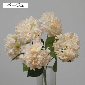   CeA  AWTC 1 ͂Ȃ Q   ItBX ̓  a j JXj  EFfBO p[eB[ v[g ʐ^ A[gt