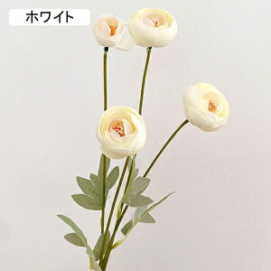   CeA  [ 1{ ͂Ȃ Q   ItBX ̓  a j JXj  EFfBO p[eB[ v[g ʐ^ A[gt