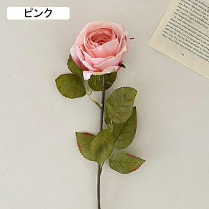   CeA  KN 1{ ͂Ȃ Q   ItBX ̓  a j JXj  EFfBO p[eB[ v[g ʐ^ A[gt