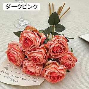   ԑ CeA  o ͂Ȃ Q   ItBX ̓  a j JXj  EFfBO p[eB[ v[g ʐ^ A[gt