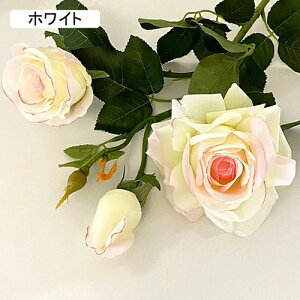   CeA  KN 1{ ͂Ȃ Q   ItBX ̓  a j JXj  EFfBO p[eB[ v[g ʐ^ A[gt