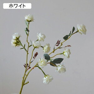   CeA  o 1{ ͂Ȃ Q   ItBX ̓  a j JXj  EFfBO p[eB[ v[g ʐ^ A[gt