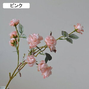   CeA  o 1{ ͂Ȃ Q   ItBX ̓  a j JXj  EFfBO p[eB[ v[g ʐ^ A[gt