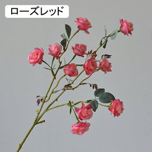   CeA  o 1{ ͂Ȃ Q   ItBX ̓  a j JXj  EFfBO p[eB[ v[g ʐ^ A[gt