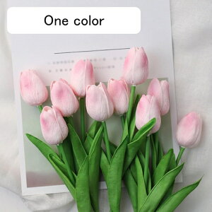 10{Zbg  `[bv tFCNt[ ԑ u[P ͂Ȃ Y ins A[gt[ z̉ CeA LO ̓ v[g j rO sNjbN  